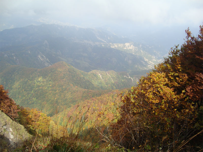 gal/2010/10 - Autunno in Casentino/panorama-01.jpg